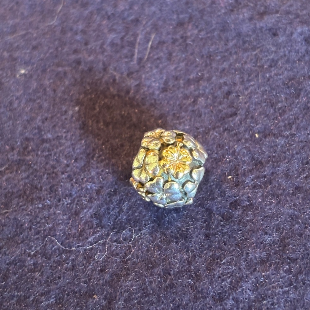 Pandora two toned good luck charm- retired